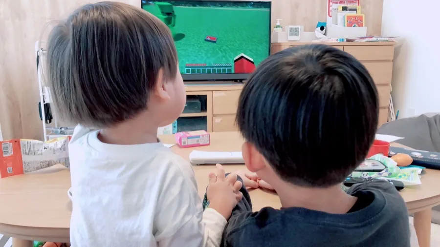 仕上がりの例(男の子2人)
